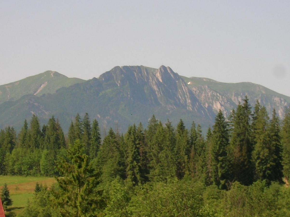 Domek Lilijka Poronin Exteriör bild